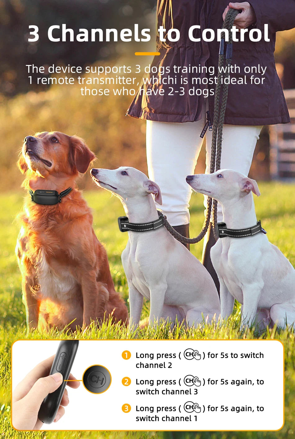 ROJECO Rechargeable Dog Training Collar with Remote